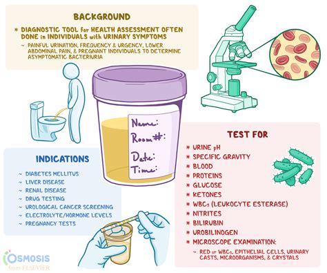 torn seal on urinalysis test|etiology of urinalysis interpretation.